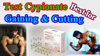 Test Cypionate for lean gaining  benefits amp Side effects amp cycle dose  full explain in one video [upl. by Rim304]