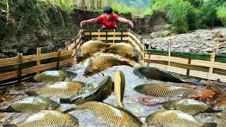 Using bamboo to make fish traps using the ancient method The boy caught a lot of fish [upl. by Stephenie889]