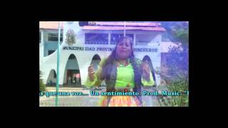 Chincheros Plazapi  Encantadora de chincheros Video Oficial [upl. by Yekcin]