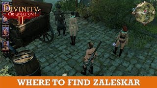 Where to find Zaleskar in Hollow Marsh Divinity Original Sin 2 [upl. by Ricarda793]