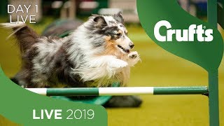 Day 1 Live  Crufts 2019 [upl. by Seaddon]