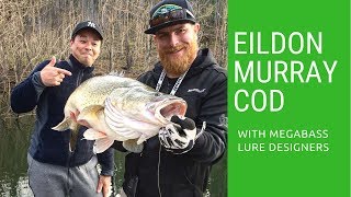 We found the lost rod  Lake Eildon Murray Cod with Megabass Japan lure designers [upl. by Shamma]