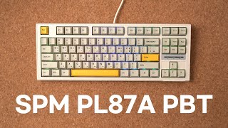 와 싸다 49900원짜리 가성비키보드 SPM PL87A 바다소금 스위치 [upl. by Drageruaeb]