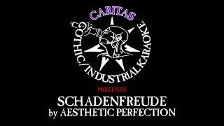 Aesthetic Perfection  Schadenfreude  Karaoke with Lyrics  Caritas Industrial Karaoke [upl. by Gombach]