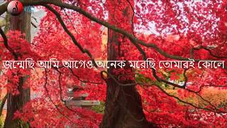 quotঅমরত্বের প্রত্যাশা নেইquot Omorotter prottasha neiLyrics by Kabir Suman  Jaatishwar [upl. by Inait809]