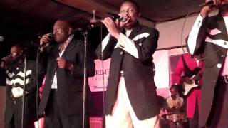 Msondo Ngoma music band live in action Michuzi Blog [upl. by Cini]