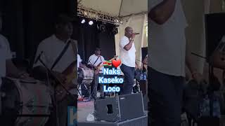 🇸🇷Naks Kaseko LocoSuriname music🇸🇷 [upl. by Hanavas341]