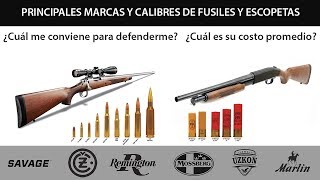 Fusiles y escopetas Principales marcas calibres y su precio en Argentina [upl. by Stromberg]