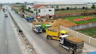 Great Job  The Best Team Dump Trucks 5Ton Unloading Soil Open New Project With KOMATSU Bulldozer [upl. by Kirstyn582]