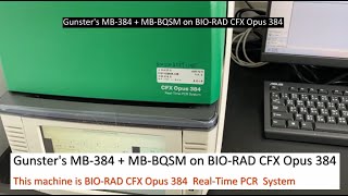 Gunsters MB384  MBBQSM on BIORAD CFX Opus 384 Real Time PCR System [upl. by Nena]