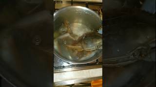 Come si cucinano i granchi blu  🦀shortvideo shorts [upl. by Gualterio]