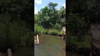 Zimbabwe Chimanimani naturelovers nuturephotography nuture [upl. by Rebekkah]