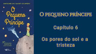 O Pequeno Príncipe  Capítulo 6 Leitura comentada [upl. by Azalea]