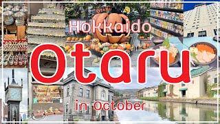 Hokkaido Road Trip Day3 in Japan Vlog  Autumn in Hokkaido  Otaru in October  Autumn in Otaru [upl. by Kirshbaum]