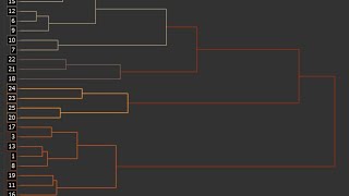 Hierarchical Cluster Analysis [upl. by Ilatan]