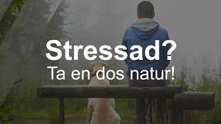 Stressad Ta en dos natur  Naturvårdsverket [upl. by Neillij]