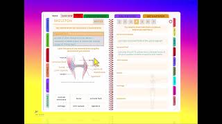 AQA GCSE PE Revision Course Synovial Joints [upl. by Ysac420]