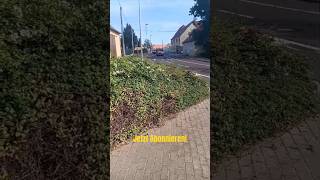 Einsatzfahrt  TSFW FF Könnern OF Bebitz  RTW DRK RW Bernburg  Kurzvideo [upl. by Leler]