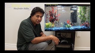 Easy Steps To Create Your Own Mini Underwater Oasis With An LED Aquarium Starter Kit [upl. by Cattan]