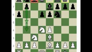 Chess Openings How to Play the Najdorf Sicilian [upl. by Noillimaxam359]