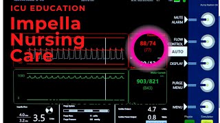 Impella Purge System Information [upl. by Dorreg]