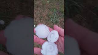 Grandine gigante a Torino Italia Thunderstorm in Torino Hailstorm [upl. by Hassi237]