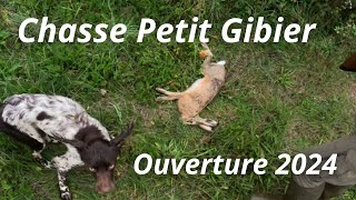 CHASSE PETIT GIBIER ouverture 2024 2025 [upl. by Aisila]