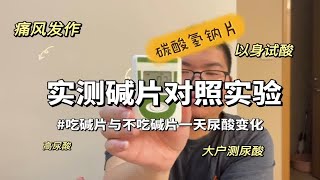 以身试酸：亲测吃与不吃碳酸氢钠片一天尿酸值变化对照！ [upl. by Socrates]