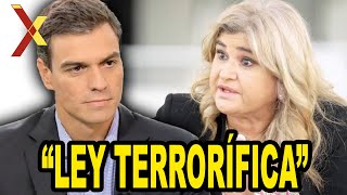 Lucía Etxebarria DENUNCIA la “LEY TERRORÍFICA” de Sánchez [upl. by Silberman]