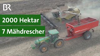 Landwirtschaft in Russland Ernte mit sieben Mähdreschern  Landtechnikvideos [upl. by Aihsele]