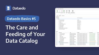 Dataedo Basics 5 The Care and Feeding of Your Data Catalog [upl. by Elleved]