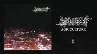 Agriculture  Agriculture Full Album Stream [upl. by Ahsitram]