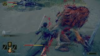 Leonine Misbegotten  Elden Ring  No Shield  No Summon  Dual Katana Raw Combat Gameplay [upl. by Senilec]