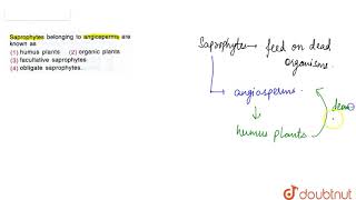 Saprophytes belonging to angioperms are known as [upl. by Rufena]