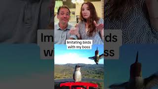 Who did it better 😋 birdbuddy imitating birdtok bossemployee animals [upl. by Nide]