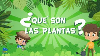 ¿QUÉ SON LAS PLANTAS  Vídeos Educativos para Niños [upl. by Onifur]