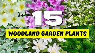 Top 15 BEAUTIFUL and Easy to Grow Plants for WOODLAND Garden 🌿🌳 [upl. by Orford]