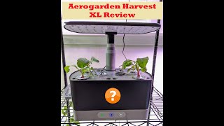 Aerogarden Harvest XL Hydroponics Review Harvest vs Harvest XL [upl. by Colline]