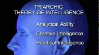 intelligence triarchic theory of intelligence [upl. by Gaskin]