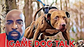 GAME DOG TALK EPISODE 84 3 HOUR CUR [upl. by Mcdougall]