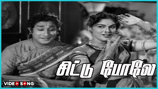 Chittu Pole Mullai Mottuppole Video Song in Tenali Raman Movie  Sivaji Ganesan  Tamil Video Song [upl. by Yecnay475]