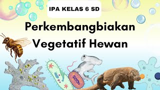 Perkembangbiakan Vegetatif Hewan  Membelah DiriFragmentasi Tunas Partenogenesis  IPA Kelas 6 SD [upl. by Eibbor]