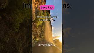 Real love isnt about finding perfection Love Fact 147 shorts shortvideo [upl. by Karie14]