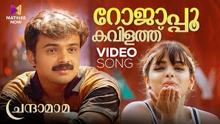 Rojapoo Kavilathu Video Song  Chandamama  Unni Menon  Sujatha Mohan  Malayalam Romantic Songs [upl. by Giulietta778]