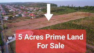 5 Acres of Prime Land for Sale in Corentyne Berbice  Guyana 🇬🇾 [upl. by Enitsenrae]