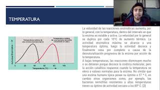 Factores que Afectan la Actividad Enzimatica [upl. by Marozik]