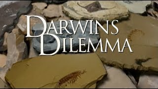 Darwins Dilemma  German [upl. by Aikram]