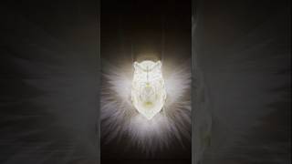 Owl Night Lamp  Diwali Decor Ka Perfect Choice shorts gadgets [upl. by Evans]