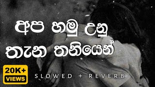 අප හමු උන තැන තනියෙන්  Apa Hamu Unu Thana Apa Hamu Una Thana Slowed Reverb [upl. by Shoemaker]