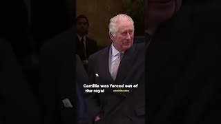 Camilla lost again to Princess Anne [upl. by Corinna954]